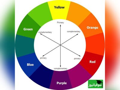 (ویدئو) دانستنی‌های رنگی/ رنگ مخصوص جوانی، خلاقیت و سلطنت