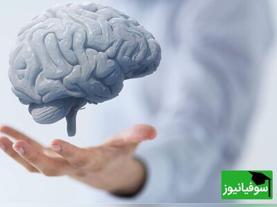 (ویدئو) مغز شما چقدر سریع کار می‌کند؟!