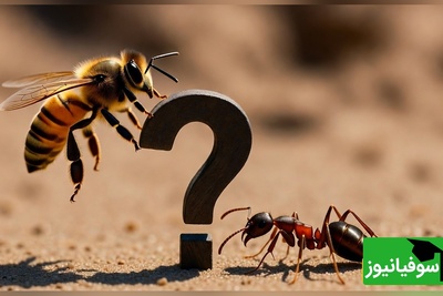 معما: زنبور + مورچه = ؟ اگه جواب دادی کامنت کن نابغه!