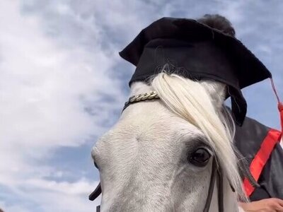 (ویدئو) جشن فارغ‌التحصیلی اسب و گربه/ جشن‌های دانشجویی داره به جاهای بغرنجی کشیده میشه🙄