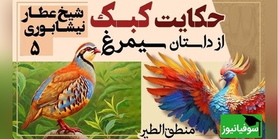 داستان‌های کوتاه و زیبایی که باید بشنوید/ منطق الطیر عطار، بخش 5؛ حکایت میخکوب‌کننده کبک و هُدهُد/ تنها راز رسیدن به اوج از زبان هدهد