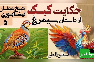 داستان‌های کوتاه و زیبایی که باید بشنوید/ منطق الطیر عطار، بخش 5؛ حکایت میخکوب‌کننده کبک و هُدهُد/ تنها راز رسیدن به اوج از زبان هدهد