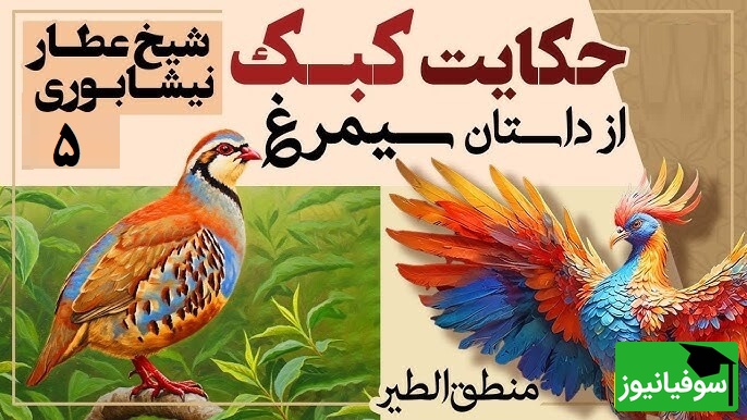 داستان‌های کوتاه و زیبایی که باید بشنوید/ منطق الطیر عطار، بخش 5؛ حکایت میخکوب‌کننده کبک و هُدهُد/ تنها راز رسیدن به اوج از زبان هدهد