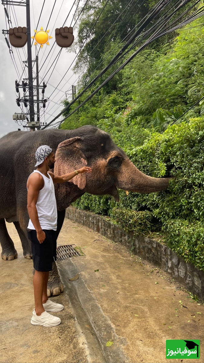 رامین رضائیان