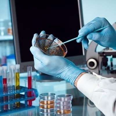 فناوری سلولی ایران/ گامی بزرگ در درمان نخاع و ناباروری