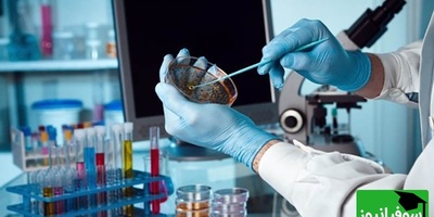 فناوری سلولی ایران/ گامی بزرگ در درمان نخاع و ناباروری