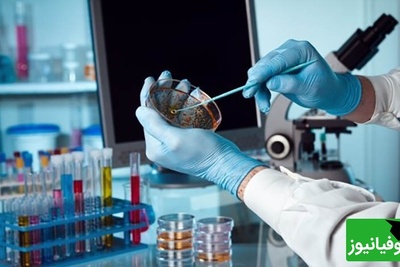 فناوری سلولی ایران/ گامی بزرگ در درمان نخاع و ناباروری