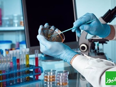 فناوری سلولی ایران/ گامی بزرگ در درمان نخاع و ناباروری