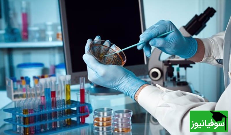 فناوری سلولی ایران/ گامی بزرگ در درمان نخاع و ناباروری