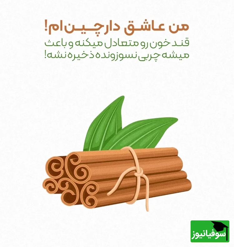 متابولیسم