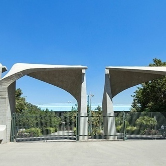 تصمیم تازه دانشگاه تهران درباره پایان‌نامه‌ها؛ دانشجوها از انجام یک کار قدیمی ناگهان منع شدند!