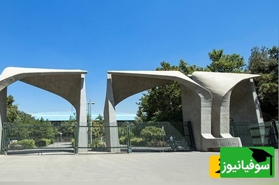 تصمیم تازه دانشگاه تهران درباره پایان‌نامه‌ها؛ دانشجوها از انجام یک کار قدیمی ناگهان منع شدند!