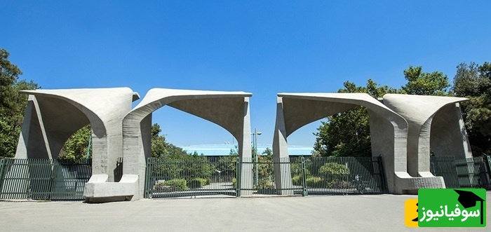 تصمیم تازه دانشگاه تهران درباره پایان‌نامه‌ها؛ دانشجوها از انجام یک کار قدیمی ناگهان منع شدند!