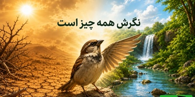 (ویدئو) داستان تکان‌دهنده «پرنده شاکر»؛ رازی که زندگی شما را زیر و رو می‌کند!