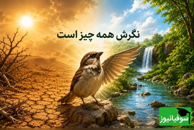 (ویدئو) داستان تکان‌دهنده «پرنده شاکر»؛ رازی که زندگی شما را زیر و رو می‌کند!