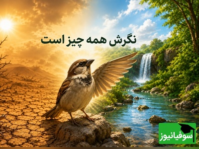 (ویدئو) داستان تکان‌دهنده «پرنده شاکر»؛ رازی که زندگی شما را زیر و رو می‌کند!