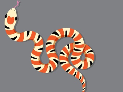 اگر مار رو پیدا کردی، IQ ات بالاست! 🐍