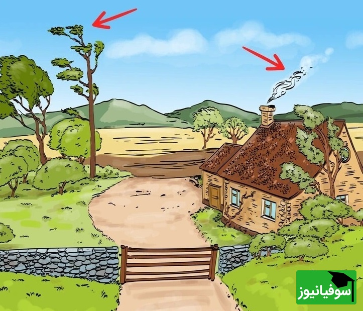 پاسخ معما