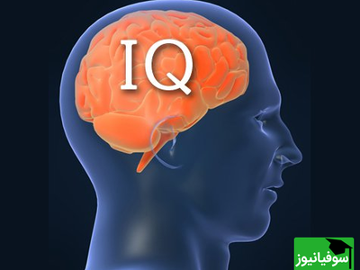 (ویدیو) از عروس دریایی تا انیشتین / مقایسه‌ی ضریب هوشی موجودات مختلف!