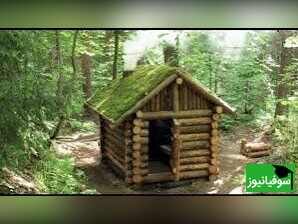 ویدیو/ معماری بی‌نظیر از ساخت کلبهٔ چوبی لاکچری وسط جنگل تاریک