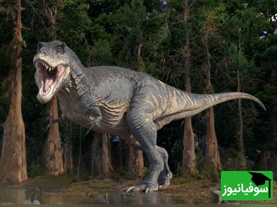 (ویدئو) صدای دایناسورهای مختلف چگونه بوده است؟