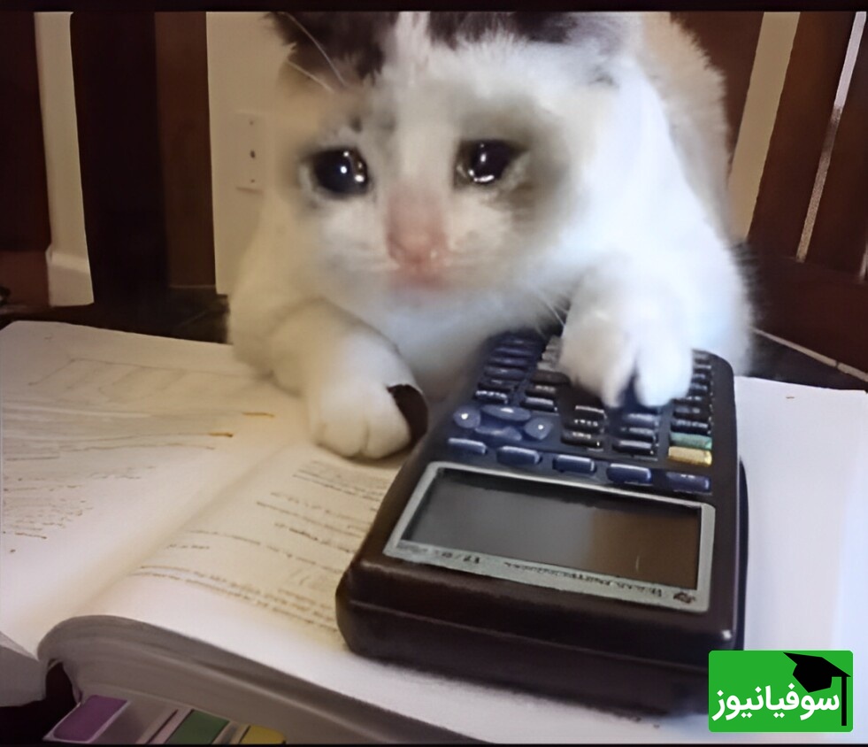 ویدئو| طنز دانشجویی روز؛ درس‌ها رو نگه داشتی برای شب آخر؟ خب آماده شو برای عملیات نجات! 😂