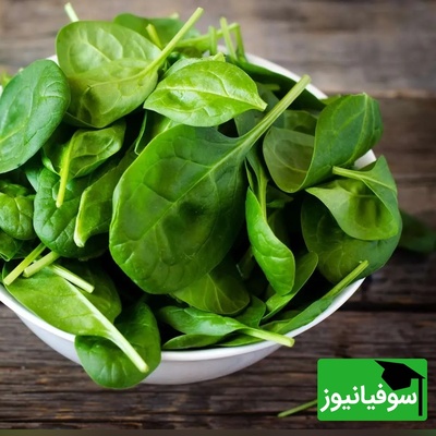 جایگزین اسفناج چی بخوریم؟ 9 غذای پرآنتی‌اکسیدان برای سلامت بدن