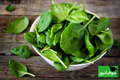 جایگزین اسفناج چی بخوریم؟ 9 غذای پرآنتی‌اکسیدان برای سلامت بدن