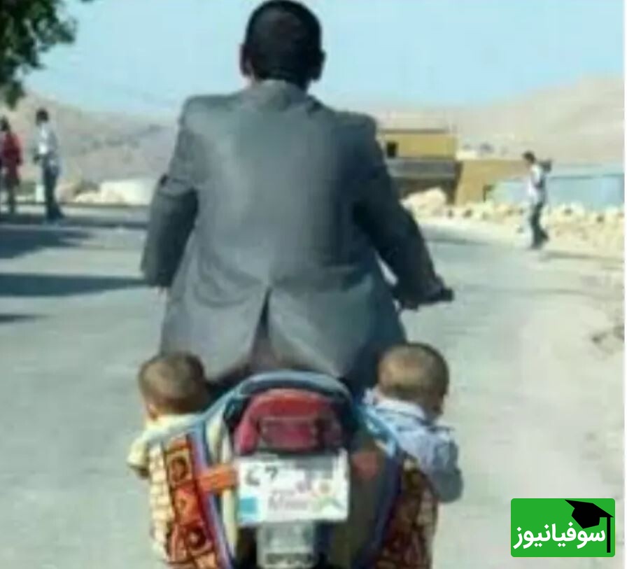 حمل دو قلو
