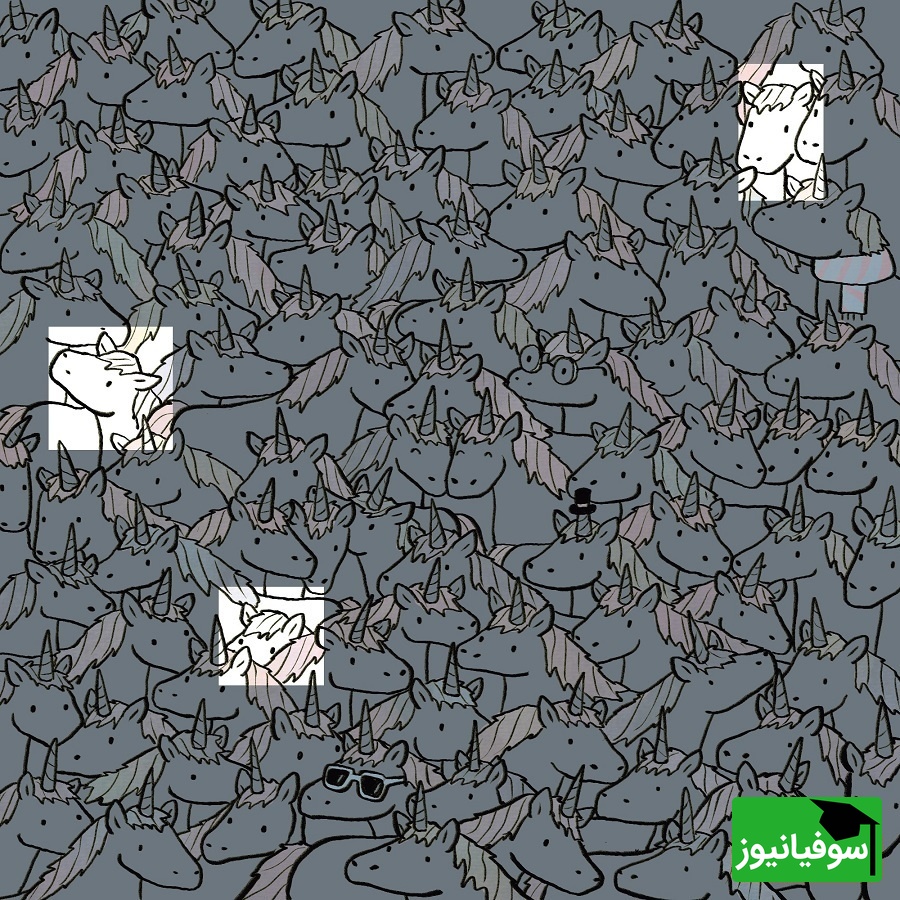 پاسخ