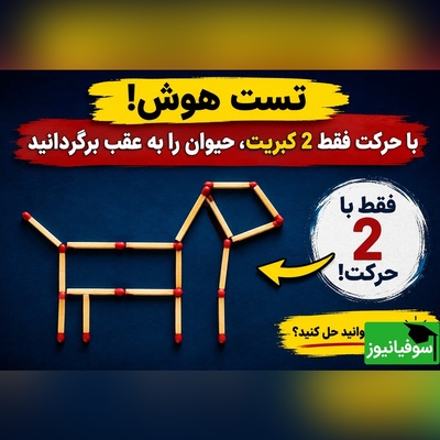 معمای فکری امروز؛ چند ثانیه طول می‌کشد تا با 2 کبریت، حیوان را رو به عقب برگردانی؟