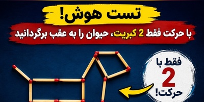 معمای فکری امروز؛ چند ثانیه طول می‌کشد تا با 2 کبریت، حیوان را رو به عقب برگردانی؟