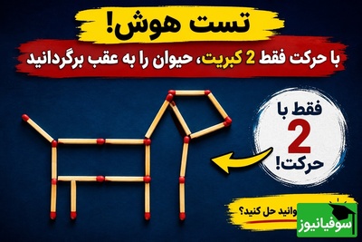 معمای فکری امروز؛ چند ثانیه طول می‌کشد تا با 2 کبریت، حیوان را رو به عقب برگردانی؟