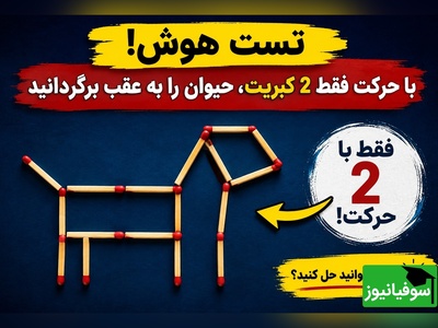 معمای فکری امروز؛ چند ثانیه طول می‌کشد تا با 2 کبریت، حیوان را رو به عقب برگردانی؟