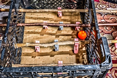 خلاقیت خنده دار جوان ایرانی برای ساخت فوتبال دستی با جعبه سیب و گیره رخت چرک کاری کرد کارستون!😂+فیلم