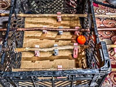 خلاقیت خنده دار جوان ایرانی برای ساخت فوتبال دستی با جعبه سیب و گیره رخت چرک کاری کرد کارستون!😂+فیلم