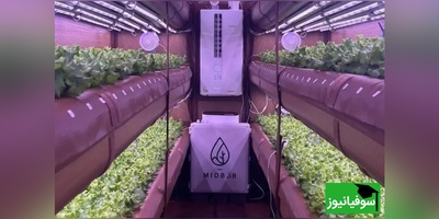 (ویدیو) کشاورزی آینده اینجاست/ AirFarm با 99٪ صرفه‌جویی در آب بدون خاک غوغا می‌کند