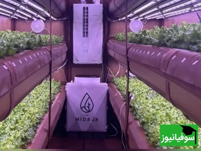 (ویدیو) کشاورزی آینده اینجاست/ AirFarm با 99٪ صرفه‌جویی در آب بدون خاک غوغا می‌کند