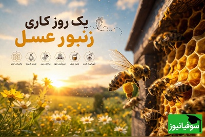 مستند حیات وحش روز؛ معجزه نظم در دنیای کوچک؛ فاش شدن اسرار زنبورهای عسل پس از سال‌ها!