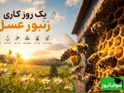 مستند حیات وحش روز؛ معجزه نظم در دنیای کوچک؛ فاش شدن اسرار زنبورهای عسل پس از سال‌ها!