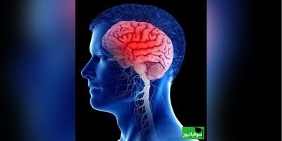 ده راز مهم و شگفت‌انگیز برای مغزی تیز و سالم!/ حتما انجام بده تا هیچ‎وقت ضعف حافظه و تمرکز نداشته باشی!