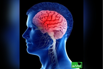 ده راز مهم و شگفت‌انگیز برای مغزی تیز و سالم!/ حتما انجام بده تا هیچ‎وقت ضعف حافظه و تمرکز نداشته باشی!