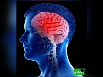 ده راز مهم و شگفت‌انگیز برای مغزی تیز و سالم!/ حتما انجام بده تا هیچ‎وقت ضعف حافظه و تمرکز نداشته باشی!