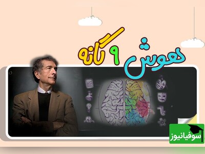 (ویدئو) 9 نوع هوش که ثابت می‌کنند باهوش بودن فقط به نمره‌های ریاضی و زبان محدود نمی‌شود!