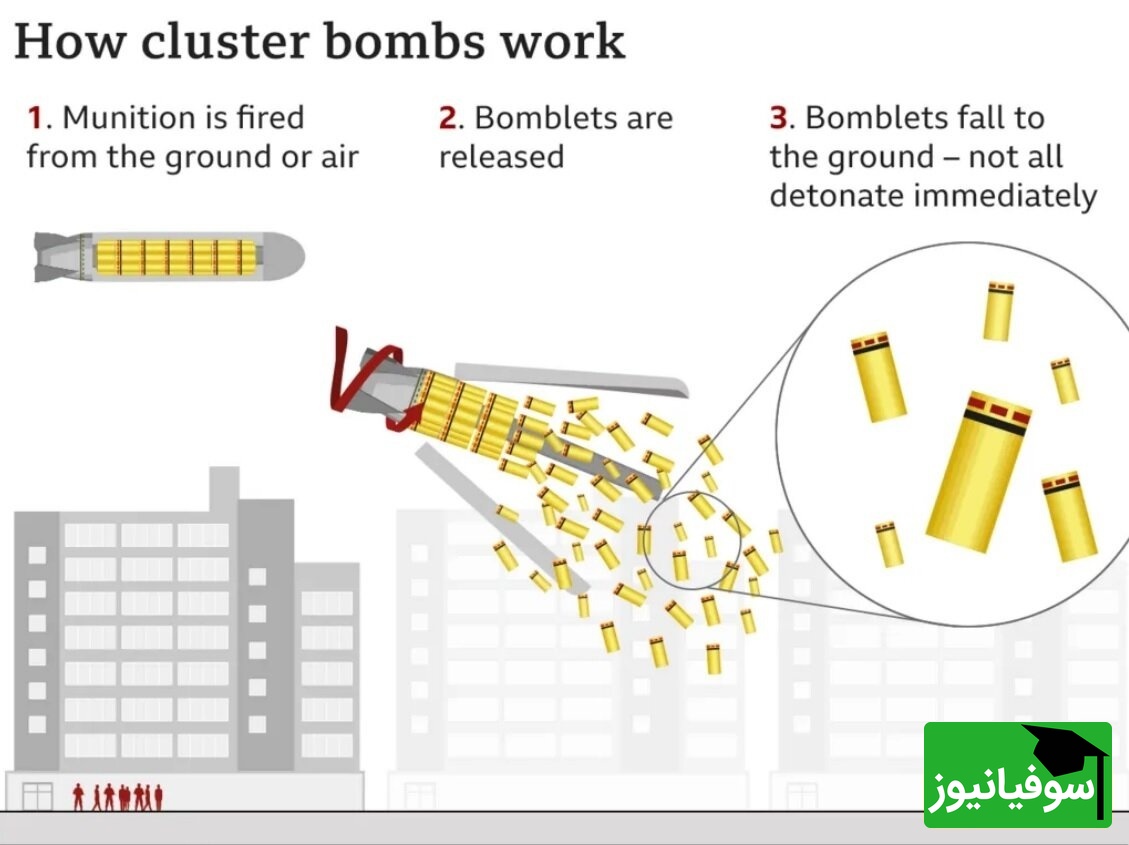 هرآنچه باید در خصوص کلاهک بارانی و خوشهای بدانید / چرا از این کلاهکها استفاده میشود؟
