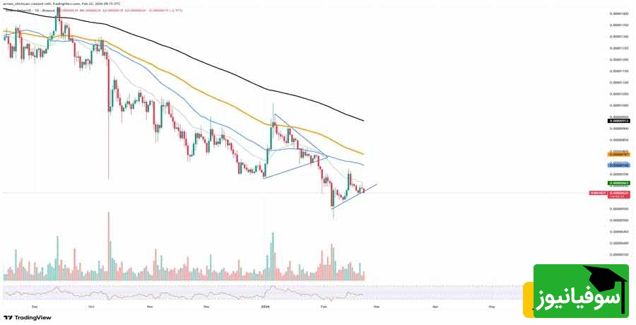 نمودار شیبا