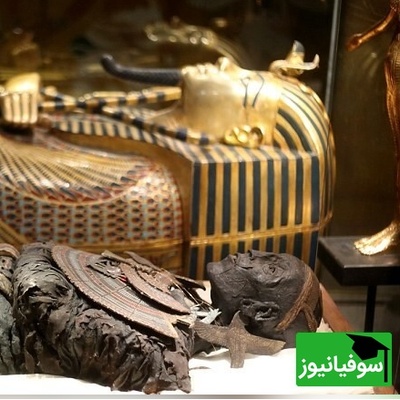 تصویر| نگاهی به اشیای مرموز مقبره‌های مصر باستان/ چه چیزهایی در دنیای پس از مرگ به انتظار مومیایی‌ها نشسته بود؟