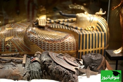 تصویر| نگاهی به اشیای مرموز مقبره‌های مصر باستان/ چه چیزهایی در دنیای پس از مرگ به انتظار مومیایی‌ها نشسته بود؟