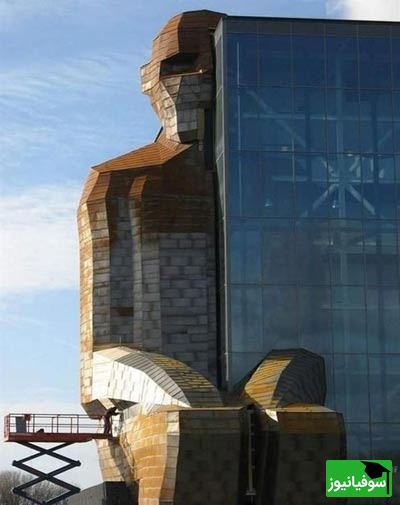 ساختمان با الهام از بدن انسان