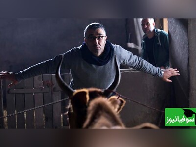 ویدیو/ وقتی پژمان جمشیدی تصمیم گرفته درسش رو ادامه بده؛ جهان با من برقص